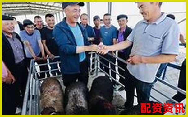牛配網(wǎng)深度實(shí)測(cè)從注冊(cè)到交易全流程體驗(yàn)究竟值不值得推薦-配資交易平臺(tái)app