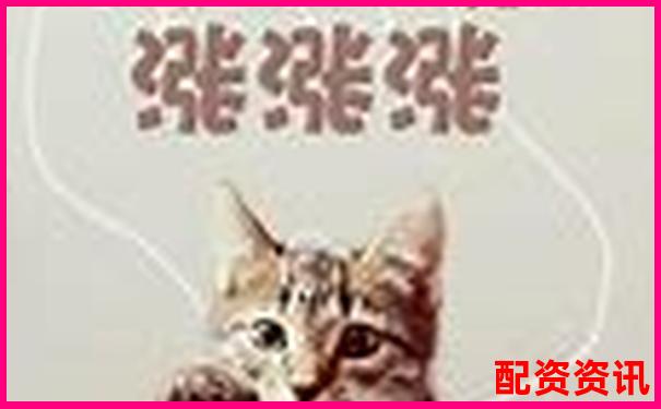 線上股票配資開戶指南新手必看操作流程詳解 線上股票配資開戶指南新手必看操作流程詳解